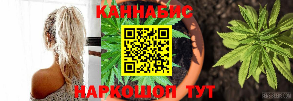Канабис OG Kush Дубна